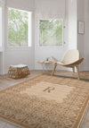 Living Room Rugs