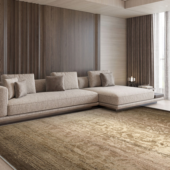 Living Room Rugs
