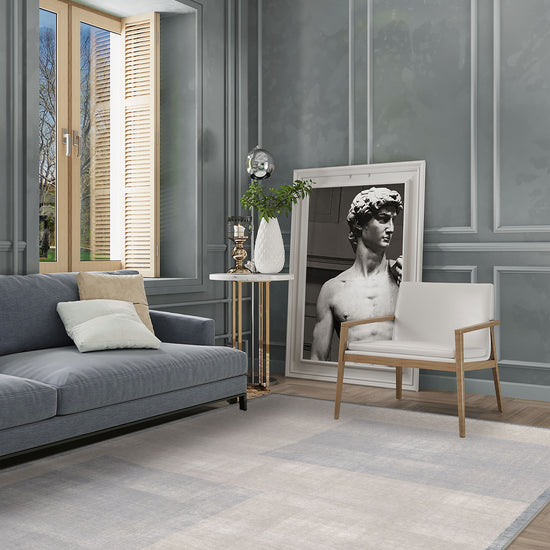 Living Room Rugs