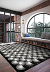 Elysandra Black and White Modern Rug