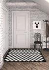 Entryway Rugs