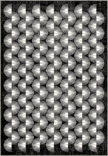 Elysandra Black and White Modern Rug