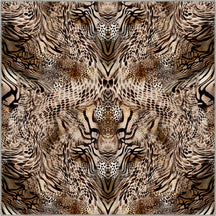 Square Rugs