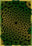 Lorelai Green 3D Rug