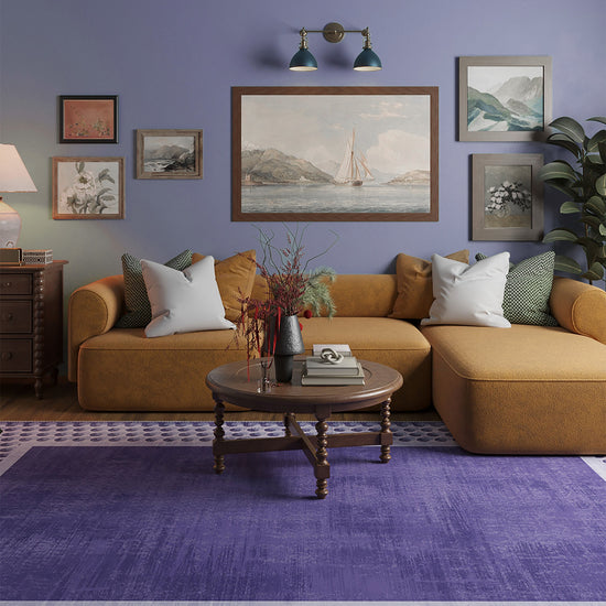 Living Room Rugs