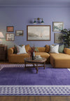Living Room Rugs