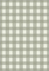 Jove Checkered Sage Green Rug