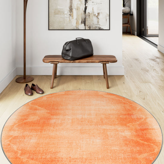 Entryway Rugs