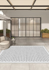 Outdoor Rugs