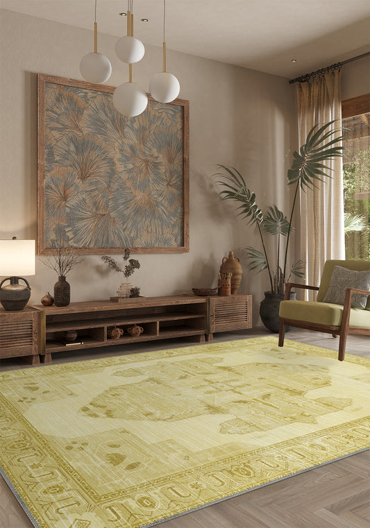Living Room Rugs