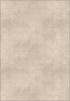 Light warm beige rug for living room.
