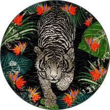 Round Rugs