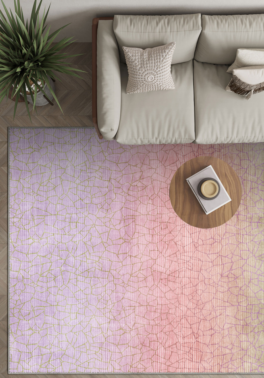 Living Room Rugs