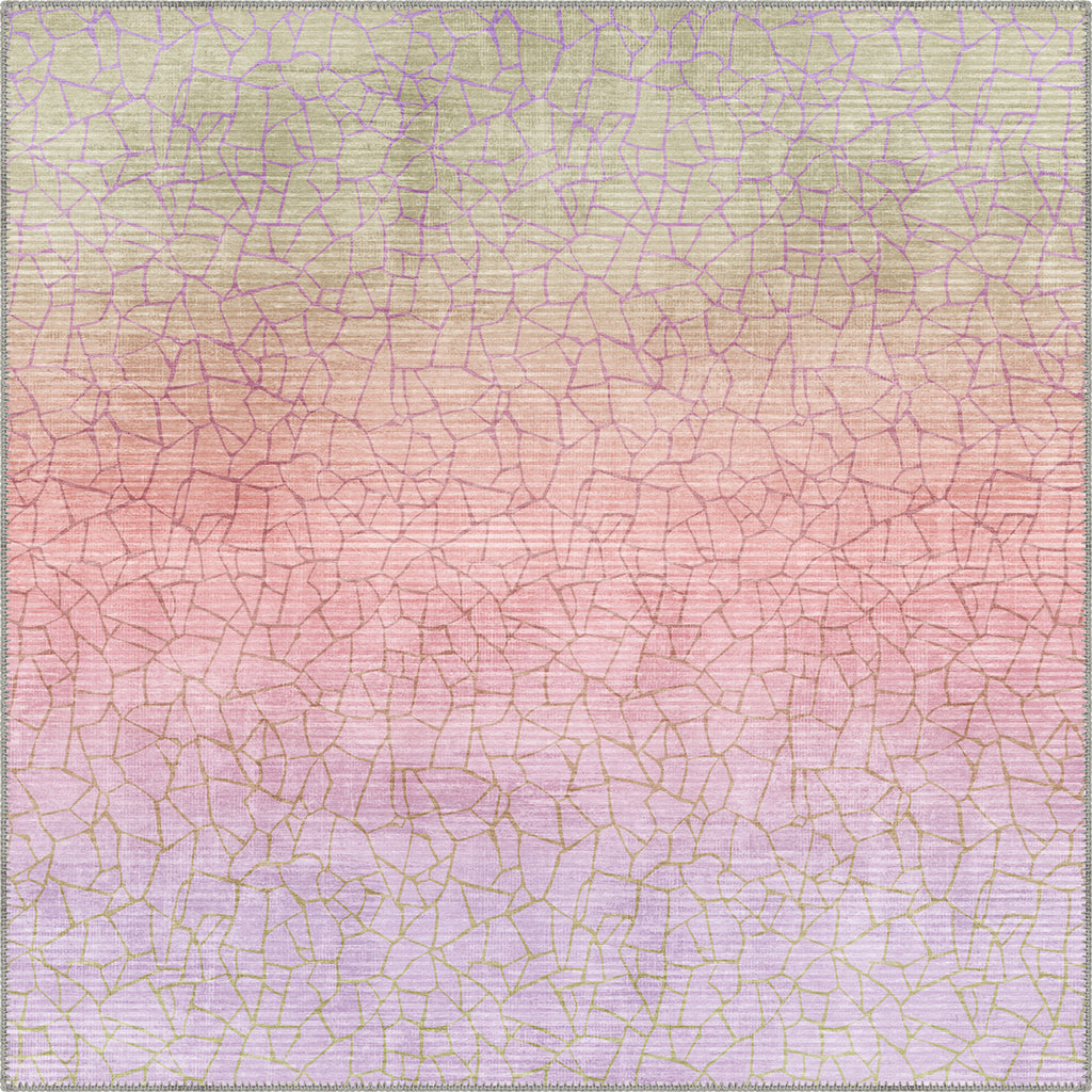 Square Rugs