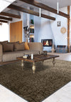 Living Room Rugs