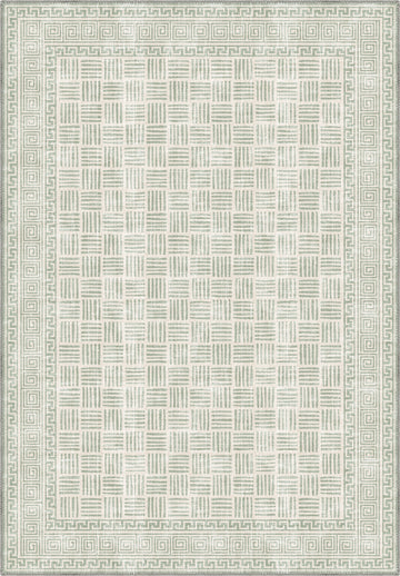 Soft green rug for living room.