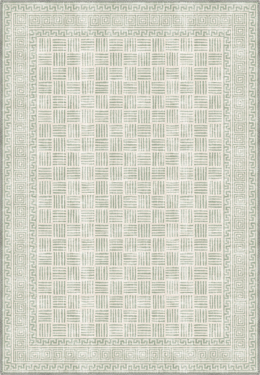 Soft green rug for living room.