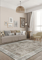 Living Room Rugs