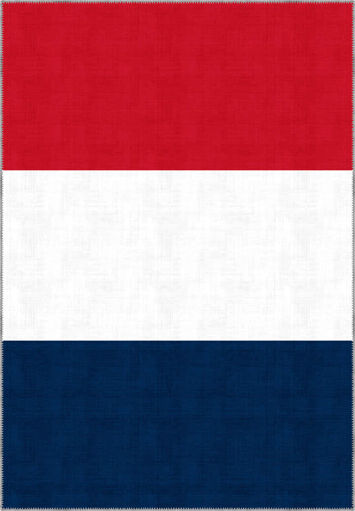 Valois French Flag Rug